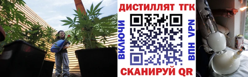 ТГК вейп с тгк  Грязовец 